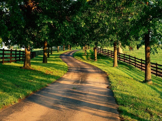 免费下载永久的轰炸短信在线使用